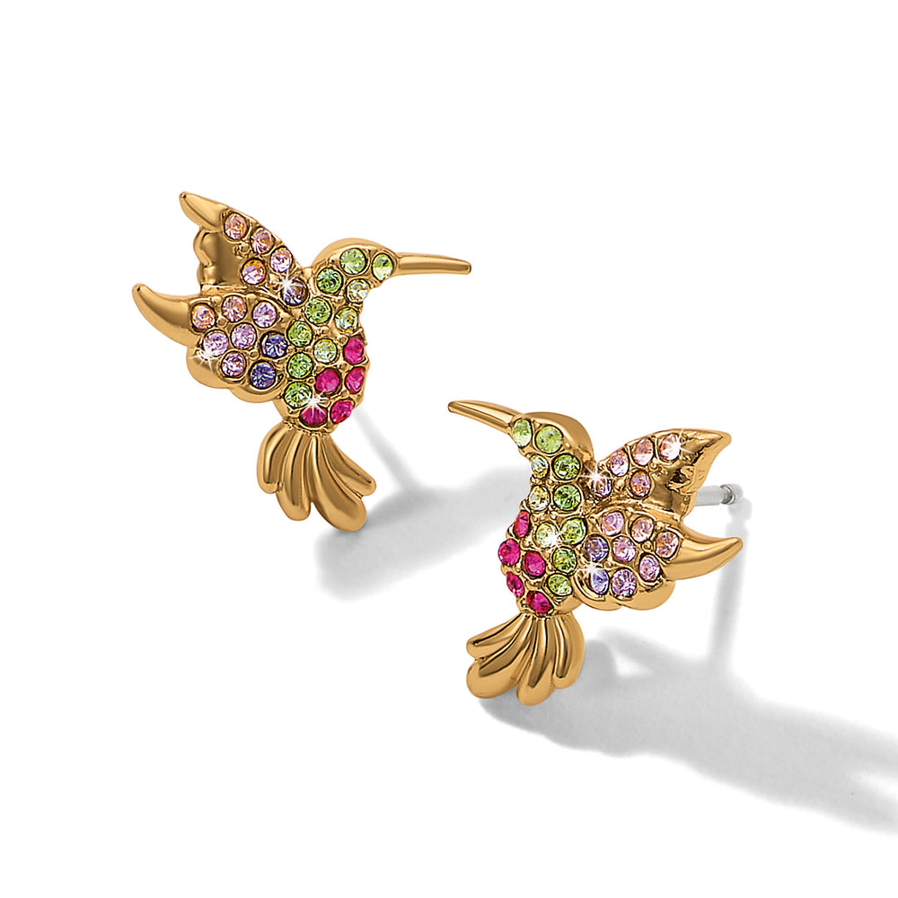Brighton Enchanting Gem Hummingbird Earrings-01-Jewelry-Brighton-Market Street Nest, Fashionable Clothing, Shoes and Home Décor Located in Mabank, TX