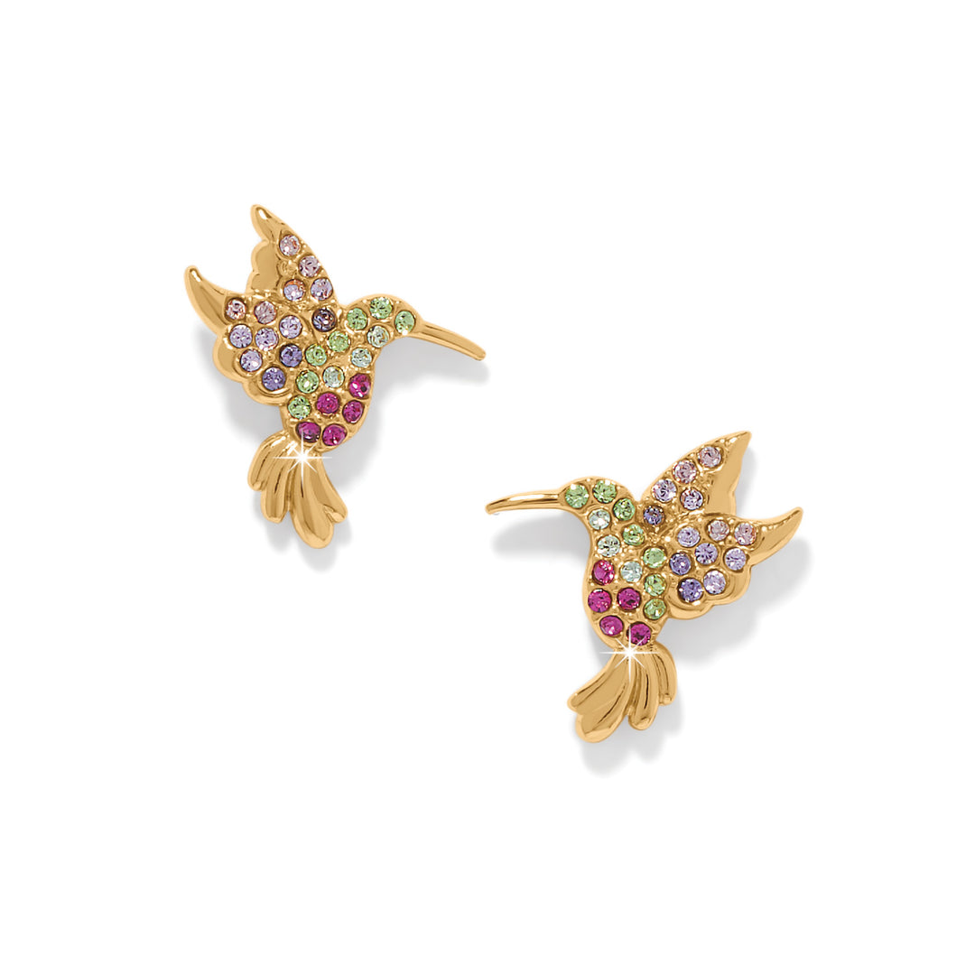 Brighton Enchanting Gem Hummingbird Earrings-01-Jewelry-Brighton-Market Street Nest, Fashionable Clothing, Shoes and Home Décor Located in Mabank, TX