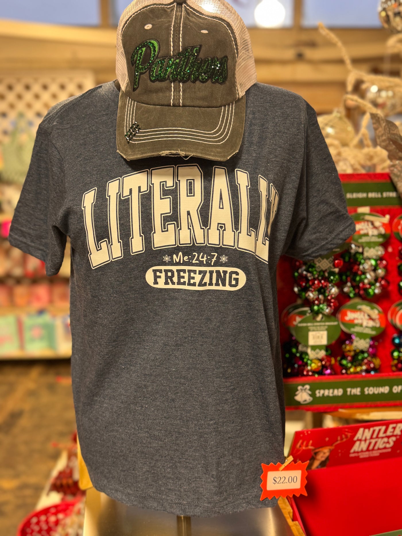 Literally Freeezing T-Shirt-Market Street Nest -Market Street Nest, Fashionable Clothing, Shoes and Home Décor Located in Mabank, TX